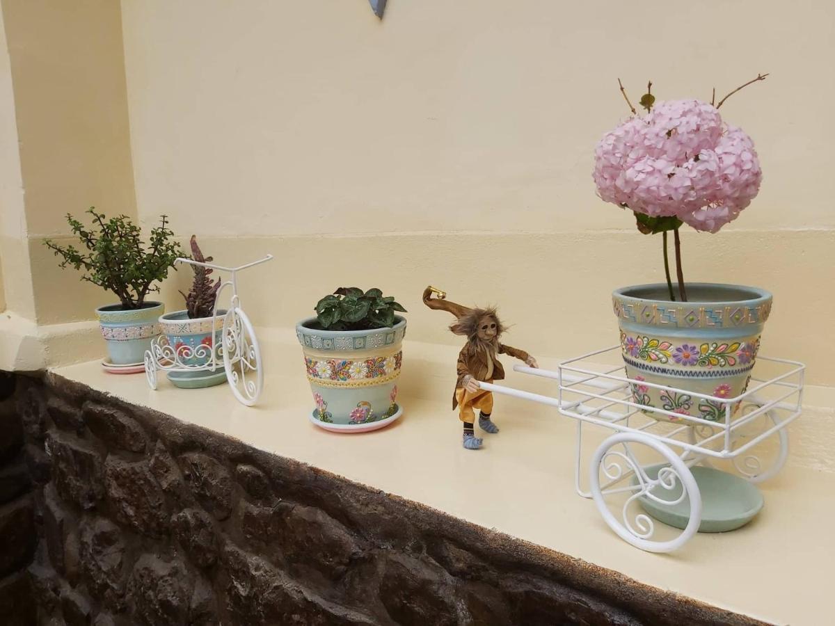 Andean Home Cuzco Eksteriør bilde